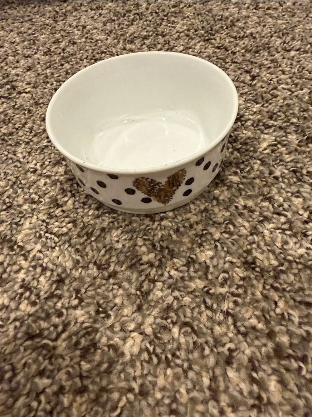 Small Dog Accessories